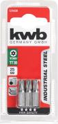  KWB 49121630 3 bita 25 mm T-Torx 30 industrijski čelik (KWB 49121630)