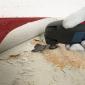 Starlock HCS list testere za uranjanje AIZ 32 EPC Wood Bosch 2609256947 (2609256947)