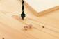 Wolfcraft 2751000 Set graničnika dubine Ø 6,8,10 mm (2751000)