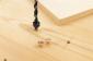 Wolfcraft 2751000 Set graničnika dubine Ø 6,8,10 mm (2751000)