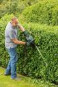 Bosch AdvancedHedgecut 70 Makaze za živu ogradu, 500W, 700mm (06008C0903)