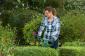 Bosch EasyHedgeCut 45 Makaze za živu ogradu, 450mm, 420W (0600847A05)
