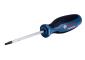 Bosch Odvijač TX20 x 100mm, 1600A01V0C (1600A01V0C)