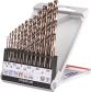  KWB 49421630 HSS-Co set burgija, 13 delova