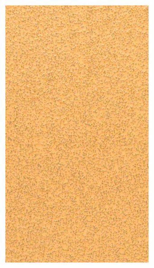 Brusni list C470, pakovanje od 10 komada Bosch 2608608Y19, 70 x 125 mm, 40 (2608608Y19)