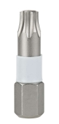 KWB 49104920 INOX nastavak za odvijač TORX T 20, SB (KWB 49104920)